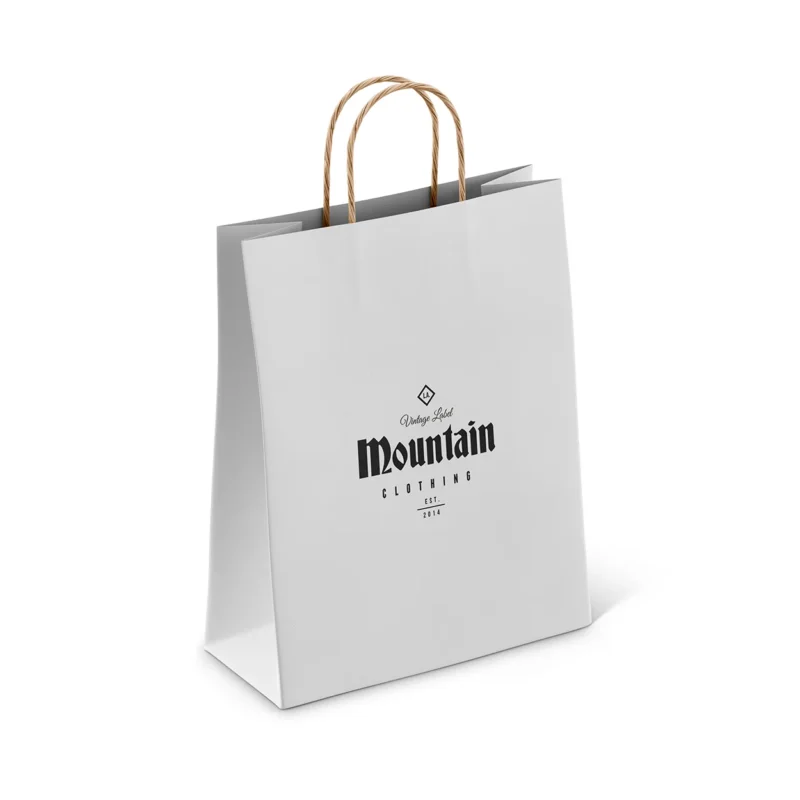 Bulk Paper Bags
